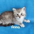 Anna 1 mois